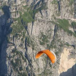 a close up of a large rock