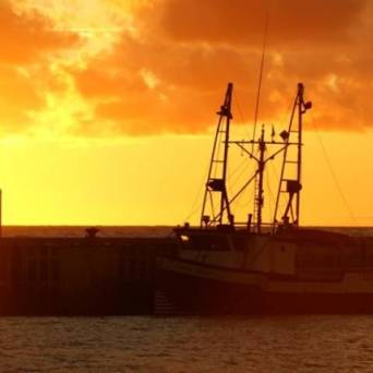 a large ship in a body of water with a sunset in the background