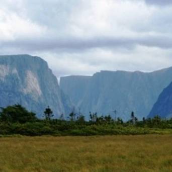 a field with a mountain in the background