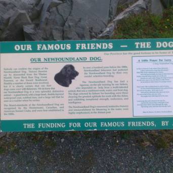 a close up of a sign