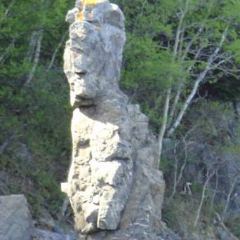 a close up of a rock