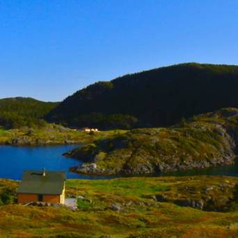 a close up of a hillside next to a body of water