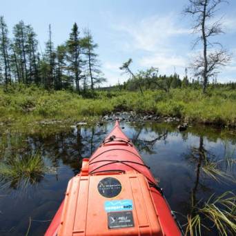 a train traveling down tracks next to a body of water