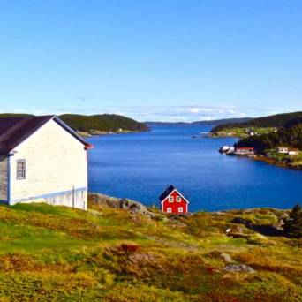 a close up of a hillside next to a body of water