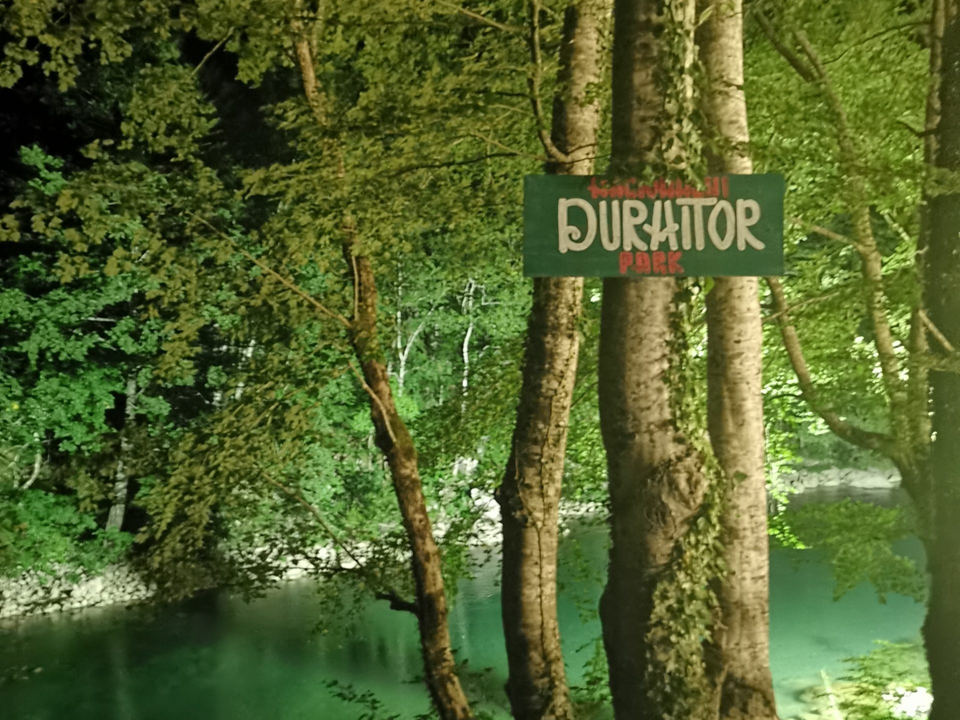 a sign on the side of a river next to a tree