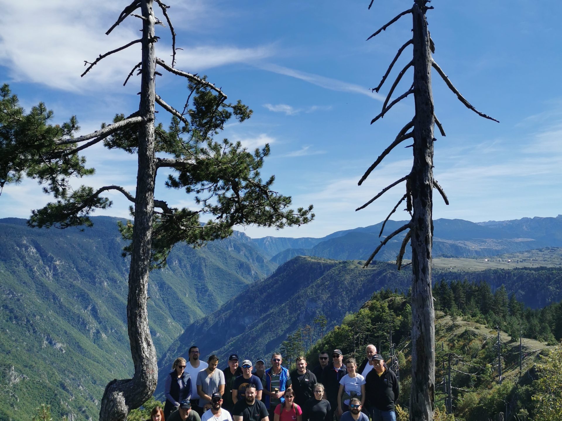a group of people standing next to a tree