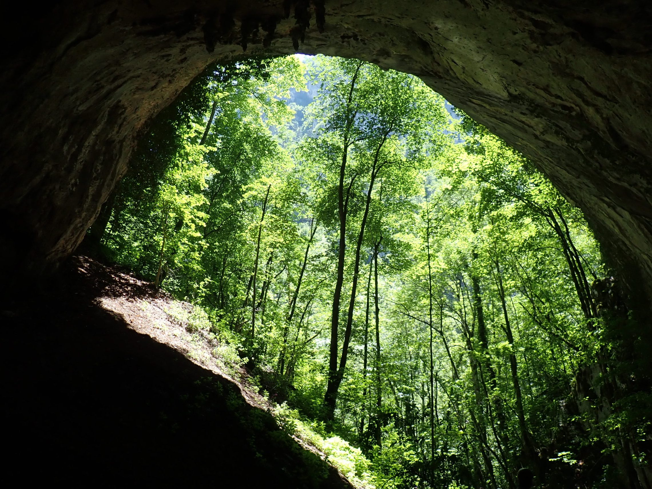 Cave in Tara Canyon