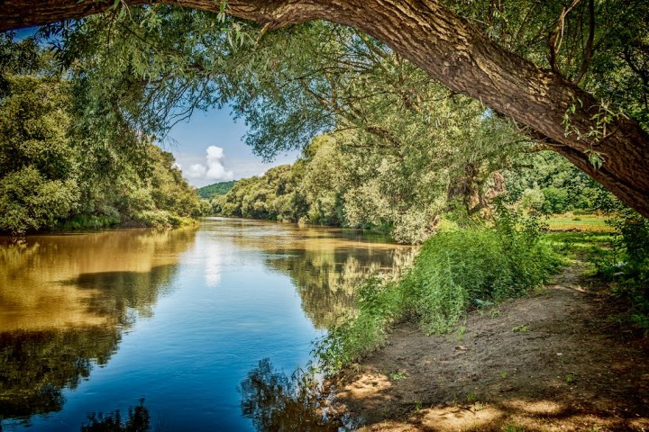 a body of water surrounded by trees